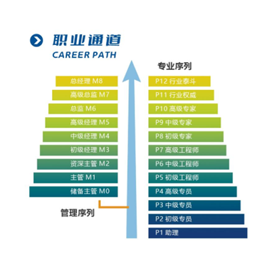 晉升機(jī)制示意圖